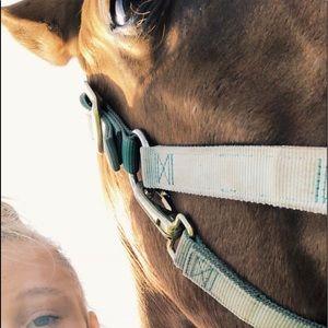 Meet your Posher, Lily